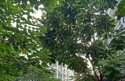 CHO THUÊ NHÀ LÀM VĂN PHÒNG, KD CỬA HÀNG KHU LK PHÙNG KHOANG, 4 TẦNG, 70M2